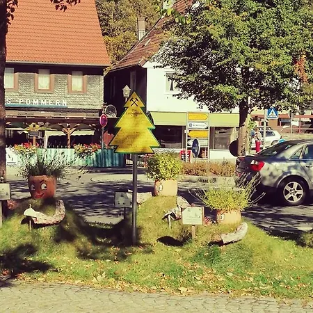 Crisand 2 Bergen * 阿尔特瑙